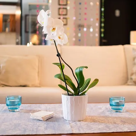 Apartment With Private Pool And Arbor Malinska