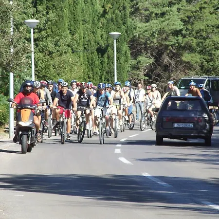 With Private Pool And Arbor 아파트 *